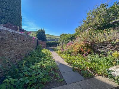 Picture 25